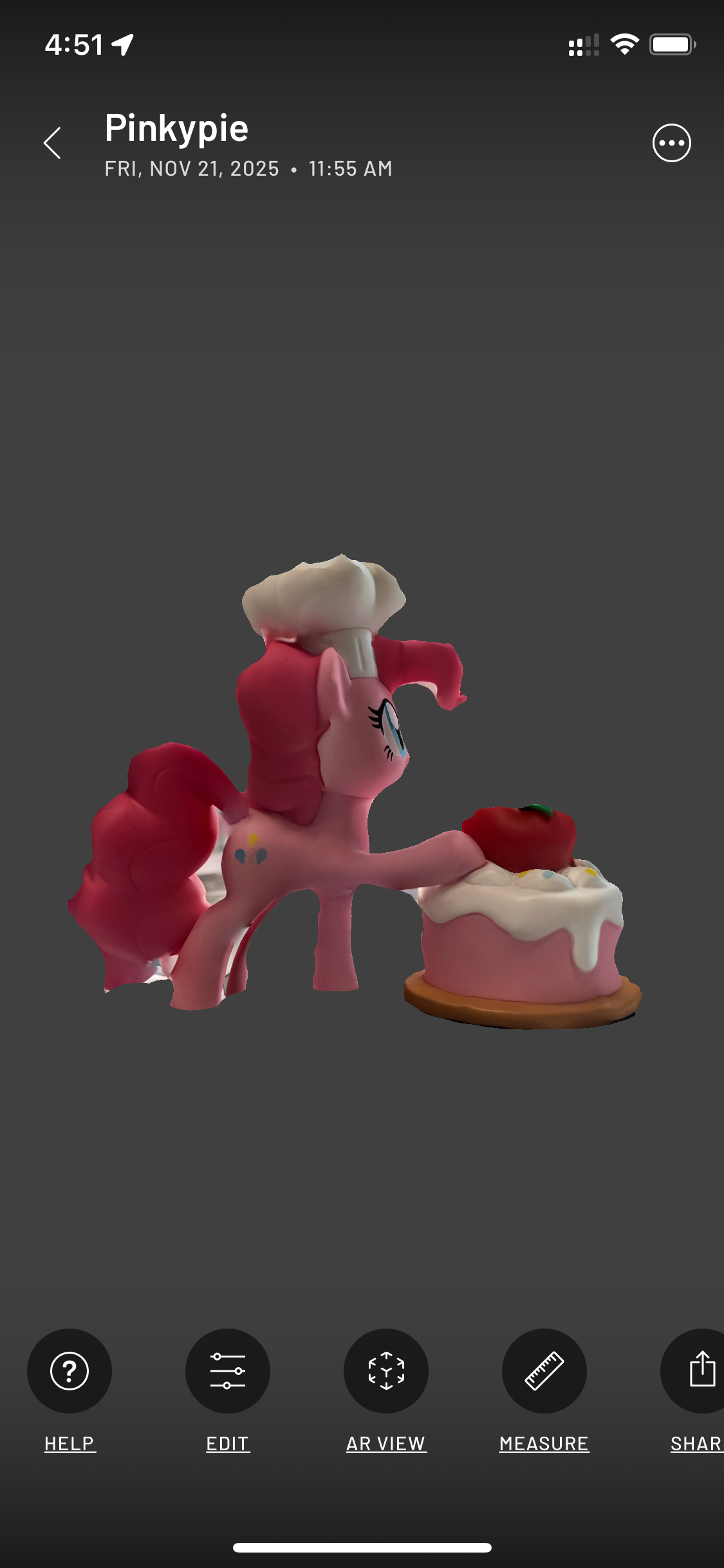 Scanned pony back view